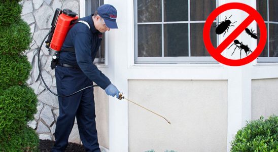 Eskifoça Hamam Böceği İlaçlama böcek ilaçlama ve haşere kontrolü — ilaclama-tr.com